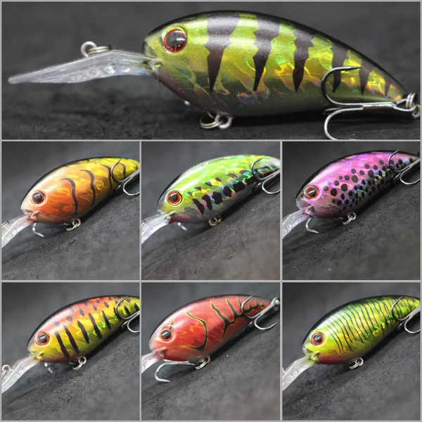 Master Every Cast with wLure
